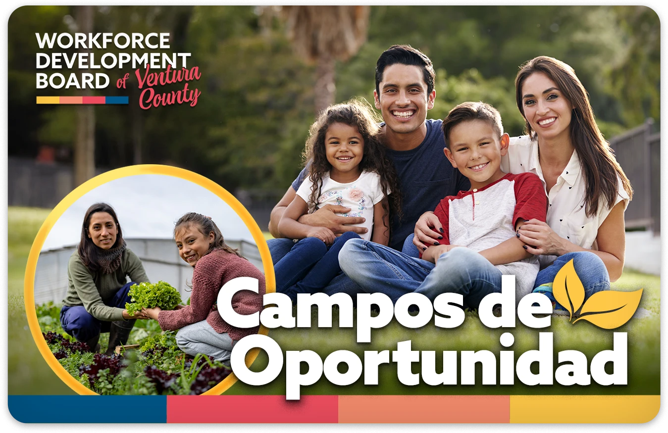 Fileds of Opportunity